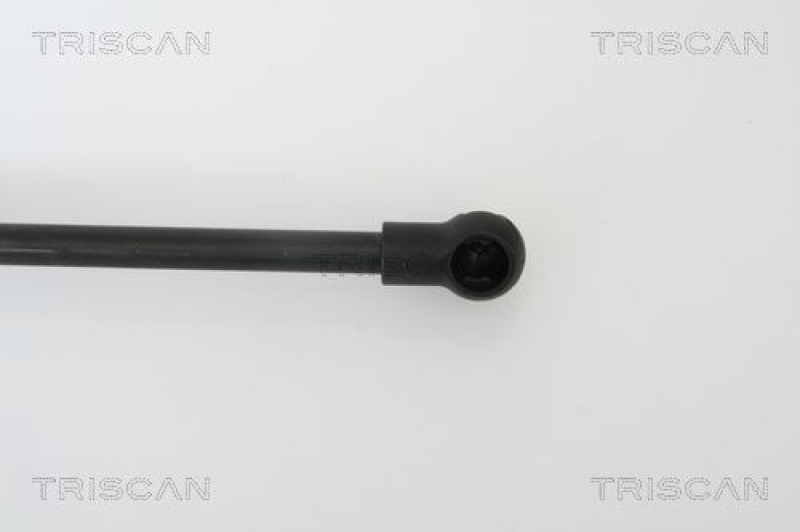 TRISCAN 8710 66202 Gasfeder Hinten für Seat Altea