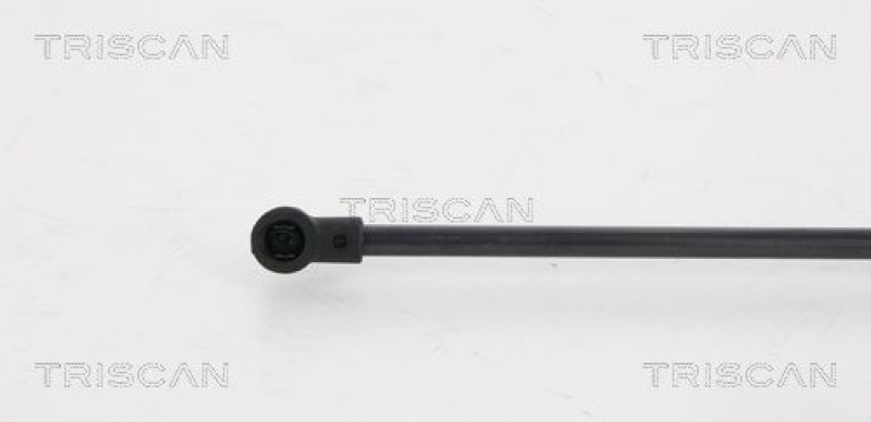 TRISCAN 8710 66205 Gasfeder Hinten für Seat Ibiza V 5D