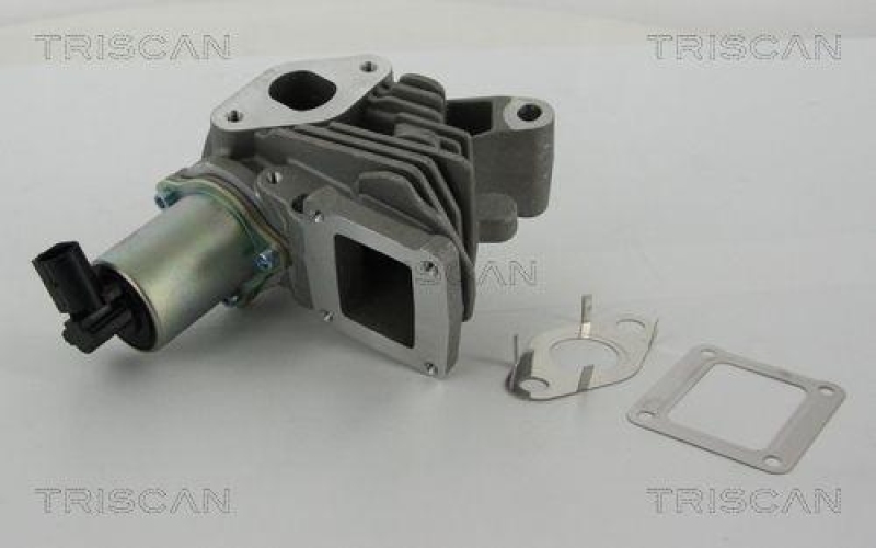 TRISCAN 8813 25100 Agr Ventil für Renault