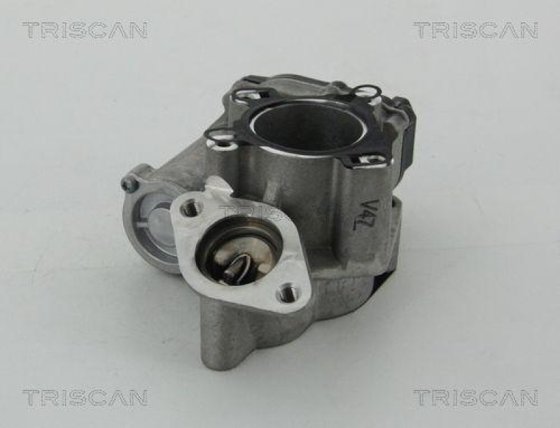 TRISCAN 8813 25203 Agr Ventil für Fiat