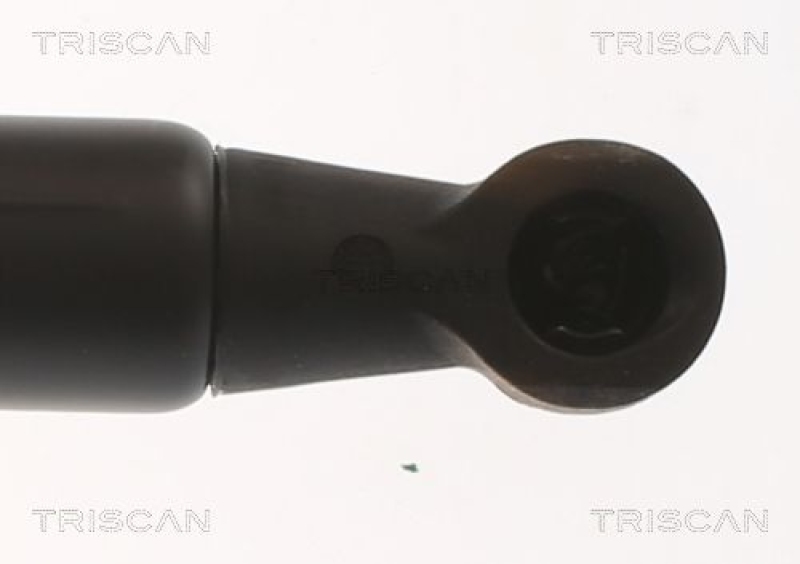 TRISCAN 8710 16306 Gasfeder Hinten für Ford