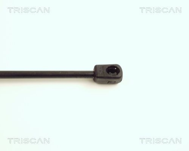 TRISCAN 8710 17101 Gasfeder Vorne für Mini Cooper