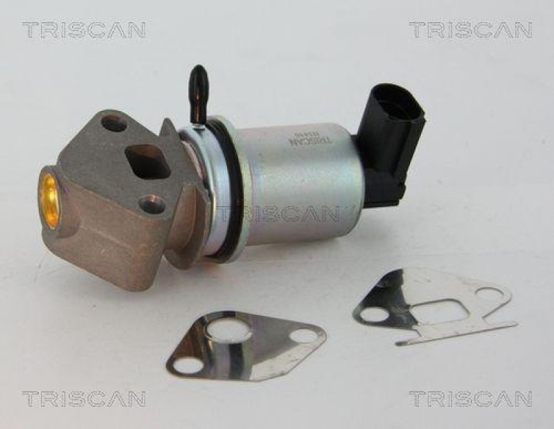 TRISCAN 8813 29045 Agr Ventil für Vag/Ford