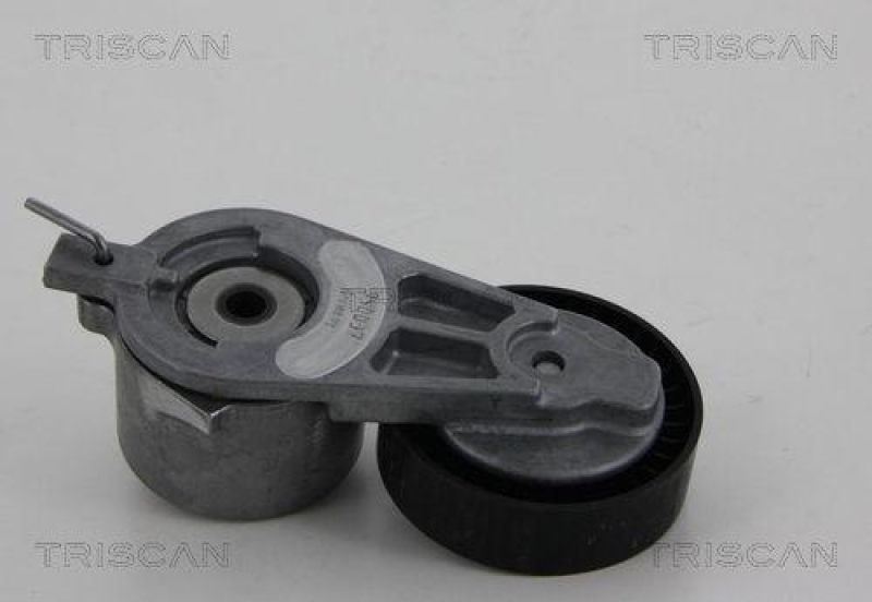 TRISCAN 8641 163019 Riemenspanneinheit für Ford