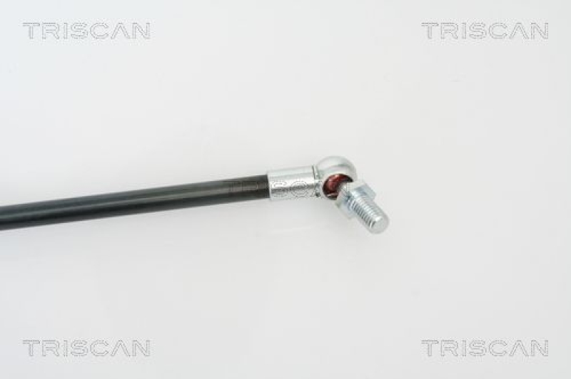 TRISCAN 8710 69217 Gasfeder Hinten für Suzuki Swift Iii Sg