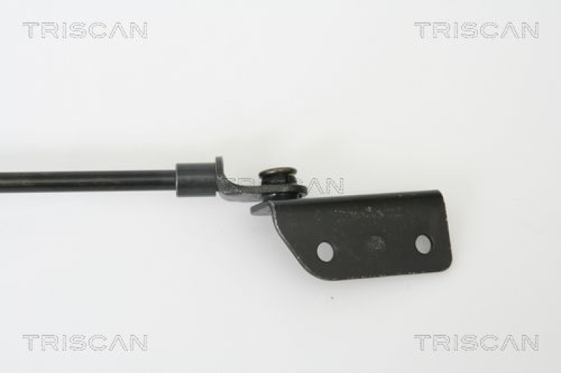 TRISCAN 8710 69223 Gasfeder Hinten für Suzuki Liana Kombi Er