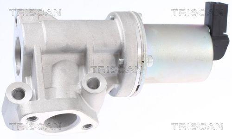 TRISCAN 8813 43009 Agr Ventil für Hyundai/Kia