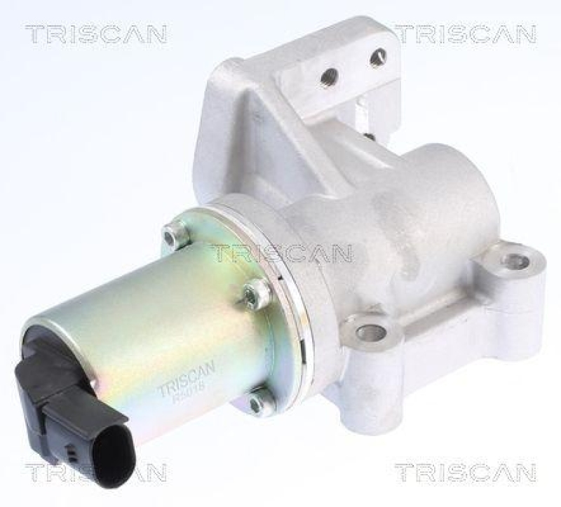 TRISCAN 8813 43015 Agr Ventil für Hyundai/Kia