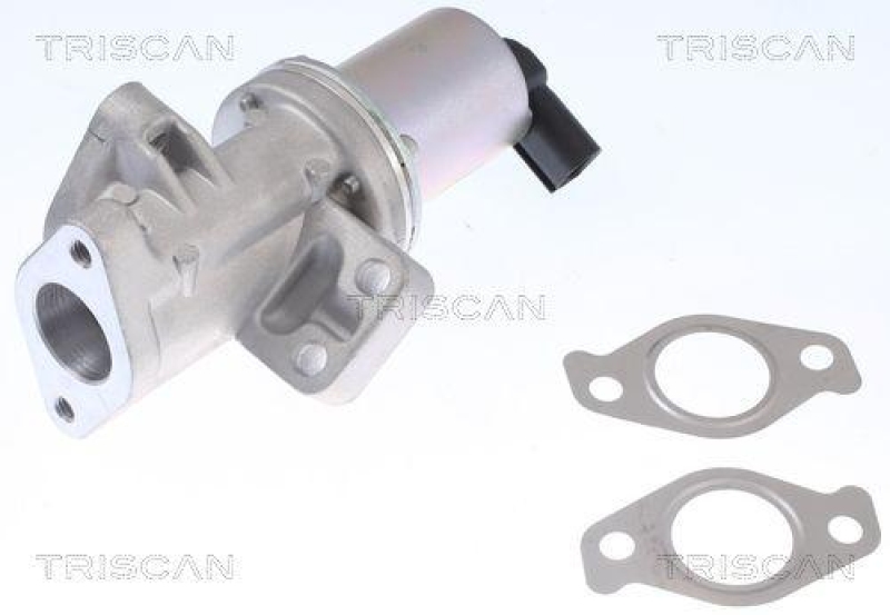 TRISCAN 8813 43024 Agr Ventil für Ssangyong