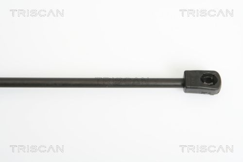 TRISCAN 8710 18219 Gasfeder Hinten für Kia Rio Hb Ii