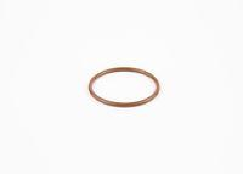 Bosch F 00H N37 810 O-Ring