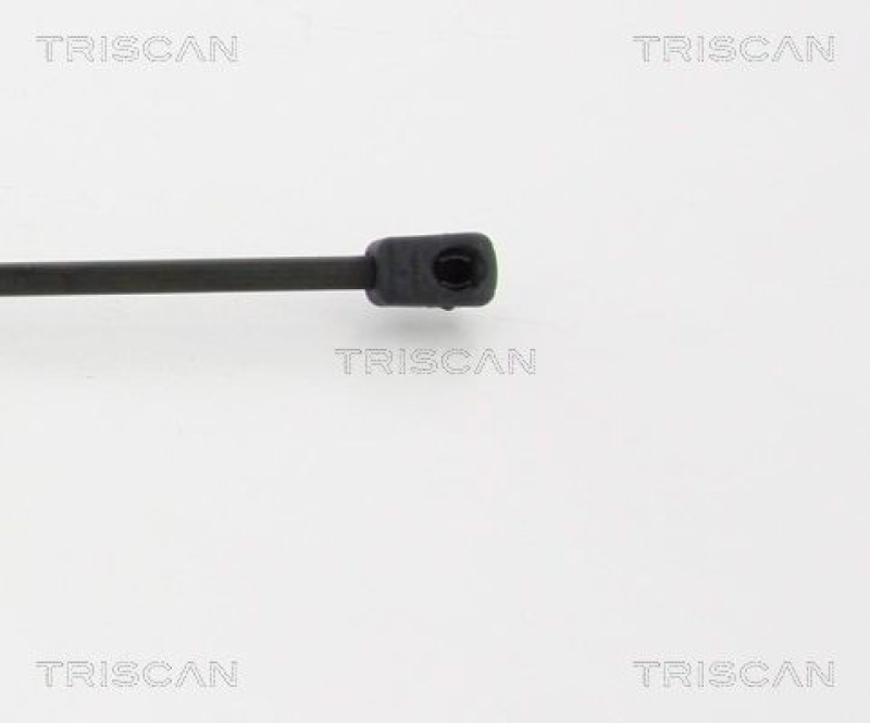 TRISCAN 8710 18232 Gasfeder Hinten für Kia