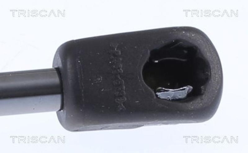 TRISCAN 8710 18244 Gasfeder Hinten für Kia Soul