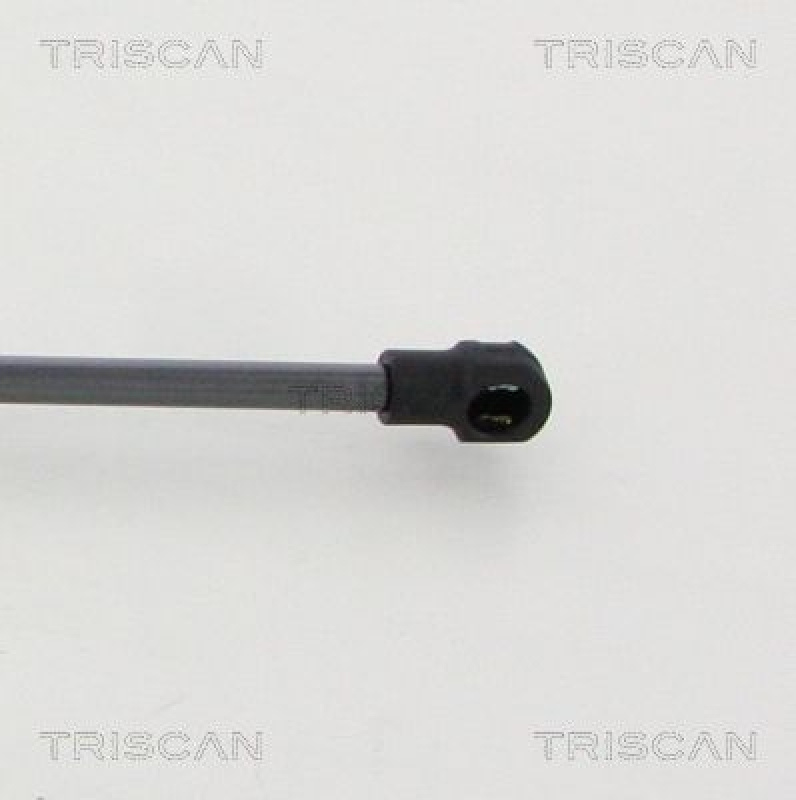 TRISCAN 8710 20208 Gasfeder Hinten für Porsche Cayman