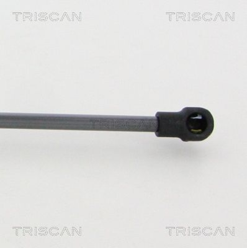 TRISCAN 8710 20209 Gasfeder Hinten für Porsche Cayman