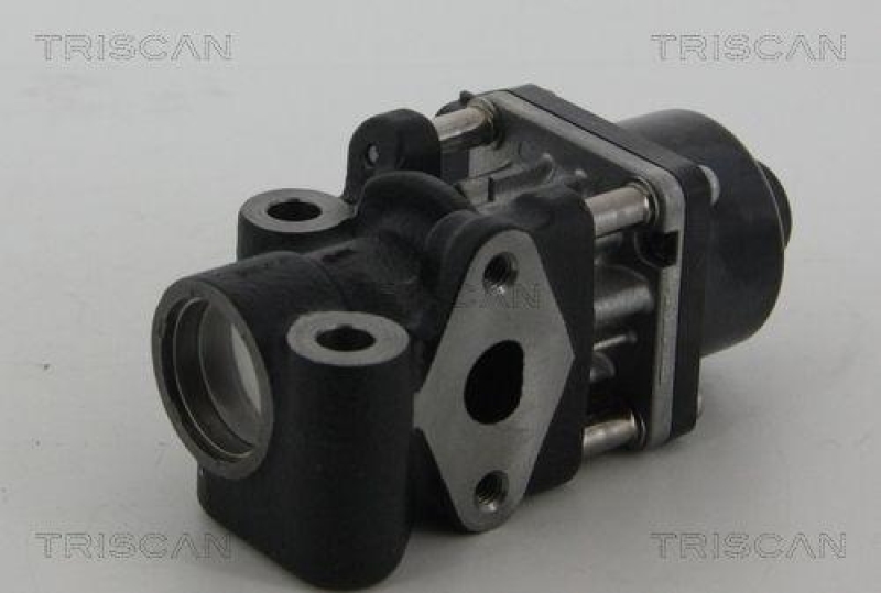 TRISCAN 8813 10013 Agr Ventil für Suzuki/Fiat