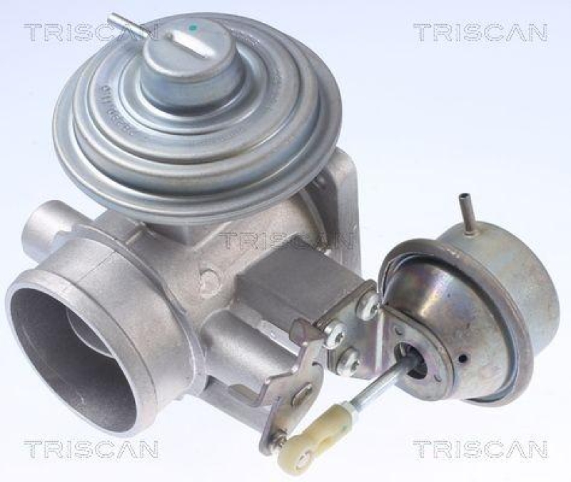 TRISCAN 8813 10034 Agr Ventil für Chrysler Voyager