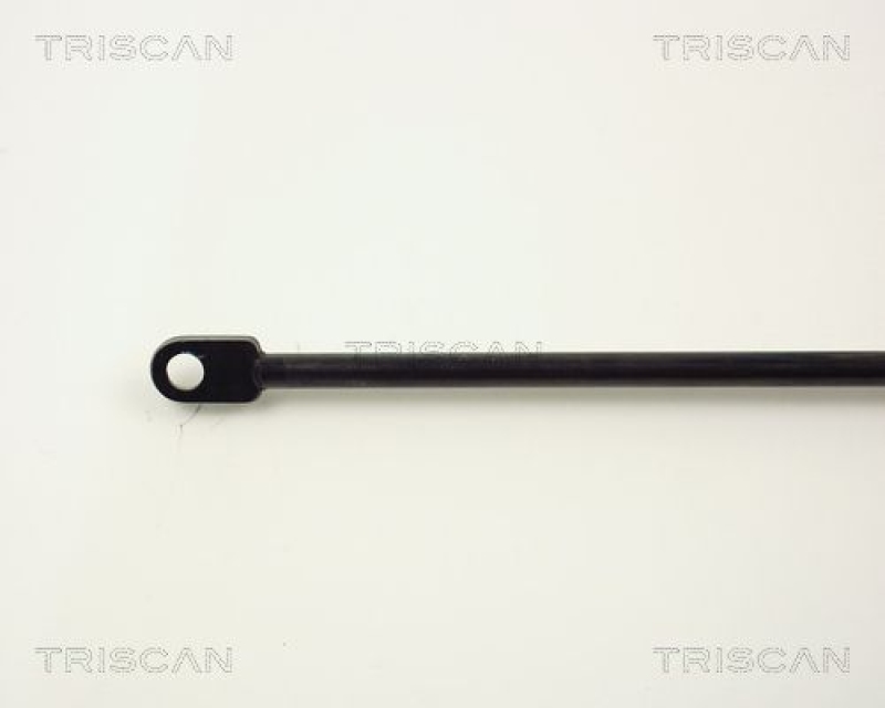 TRISCAN 8710 1108 Gasfeder Vorne für Bmw 6 Serie E24, 7 Serie E