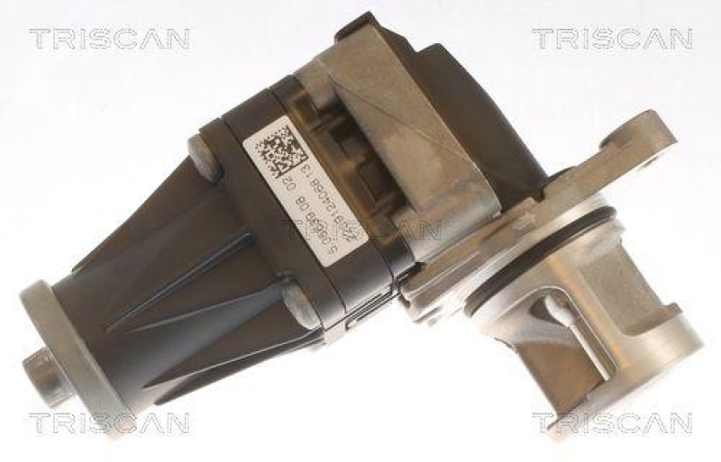 TRISCAN 8813 10053 Agr Ventil für Psa, Ford, Volvo