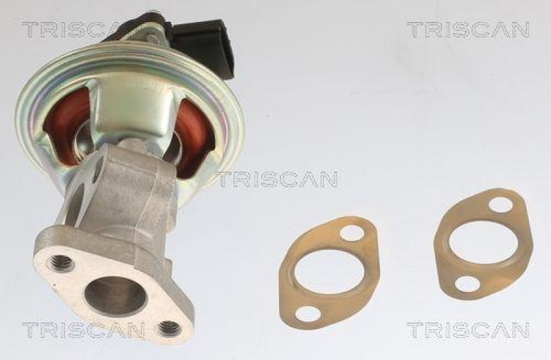 TRISCAN 8813 10054 Agr Ventil für Ford, Mazda