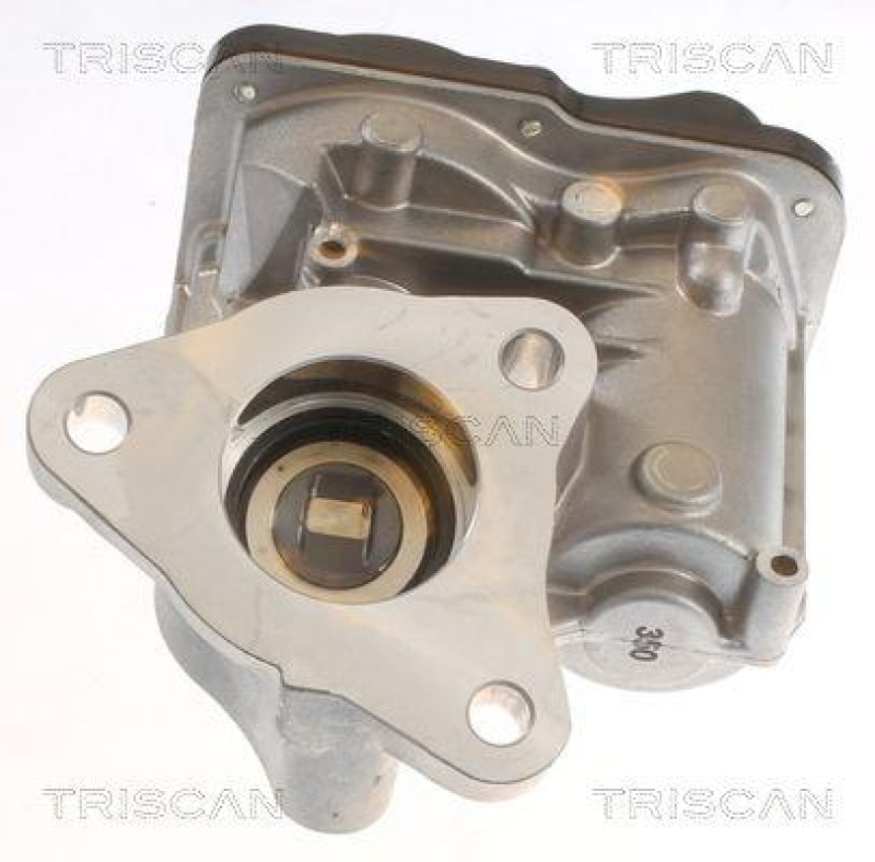 TRISCAN 8813 10055 Agr Ventil für Dacia, Renault, Mercedes