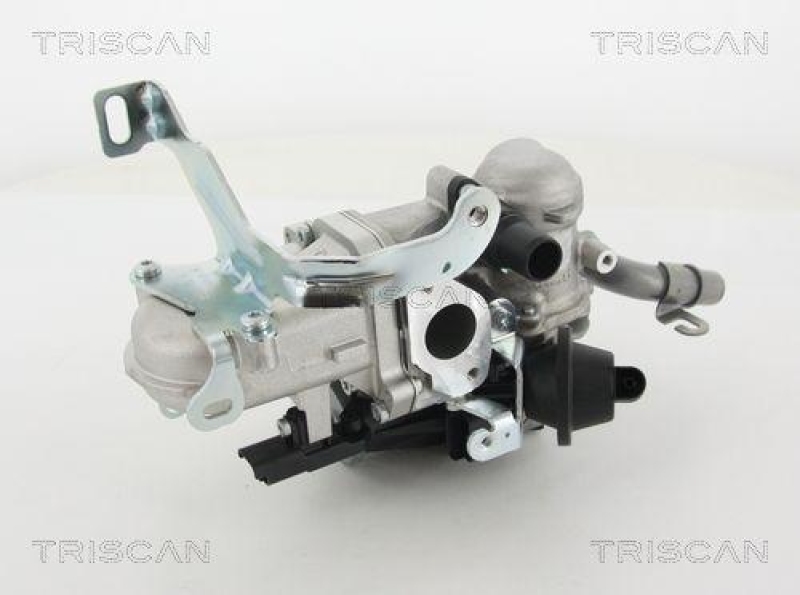 TRISCAN 8813 10103 Agr Ventil für Volvo/Ford/Psa