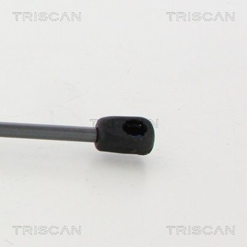 TRISCAN 8710 23246 Gasfeder Hinten für Mercedes C-Class