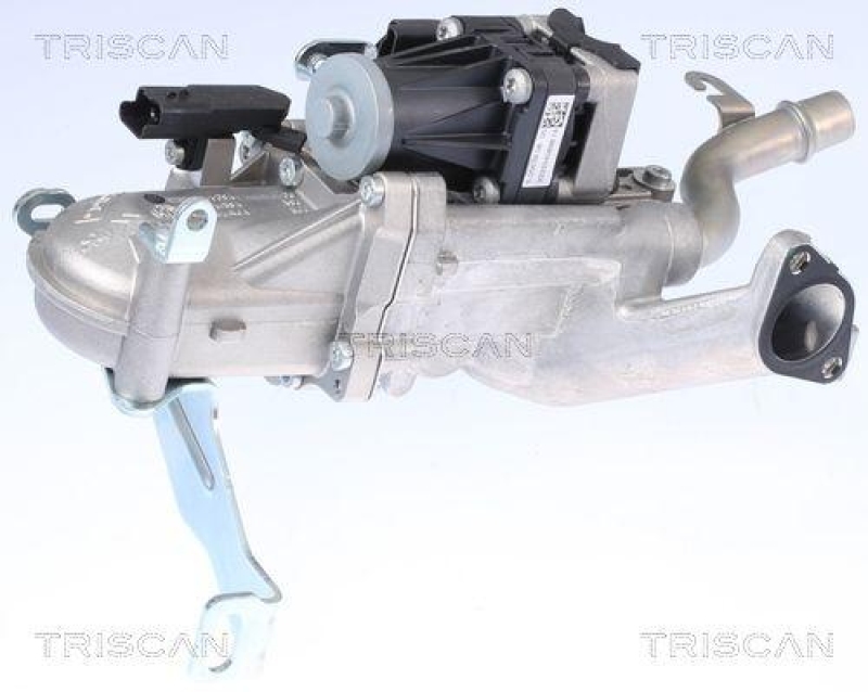 TRISCAN 8813 10106 Agr Ventil für Psa, Volvo, Ford