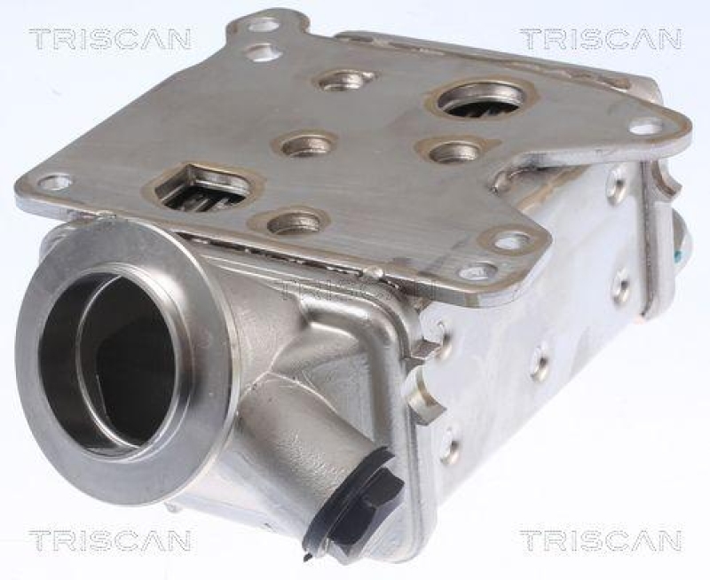 TRISCAN 8813 10113 Kühler, Abgasrückführung für Alfa, Fiat, Opel