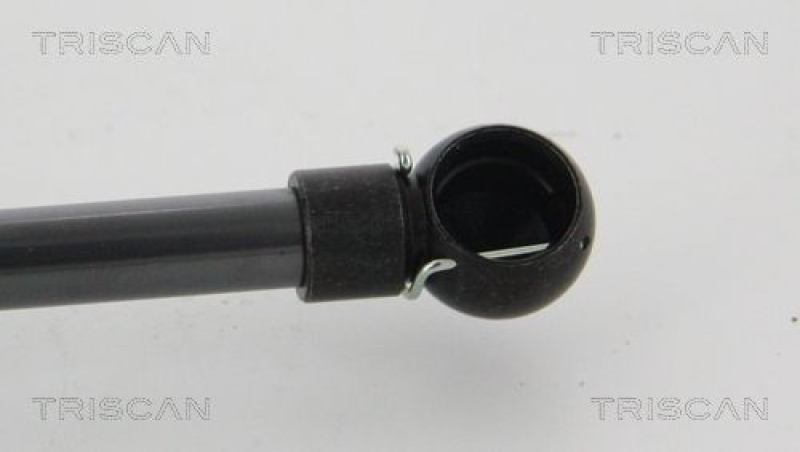 TRISCAN 8710 23294 Gasfeder Hinten für Mazda