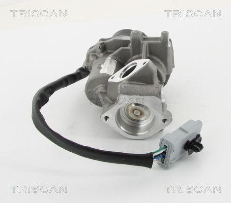 TRISCAN 8813 10202 Agr Ventil für Landrover Ford