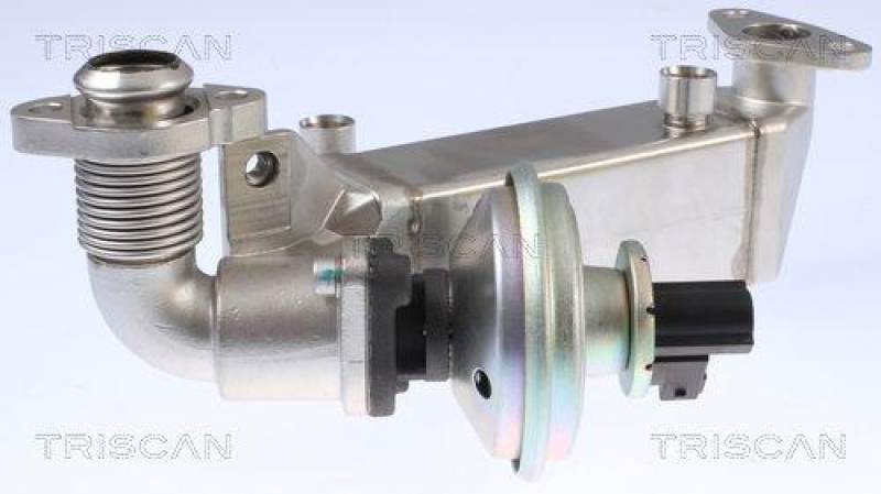 TRISCAN 8813 11009 Agr Ventil für Bmw