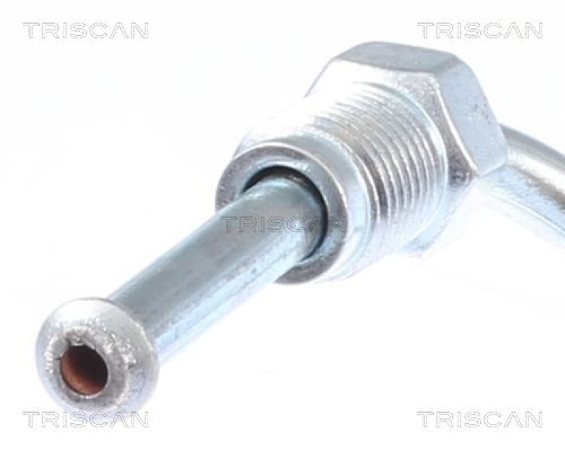 TRISCAN 8150 29188 Bremsschlauch Vorne für Audi