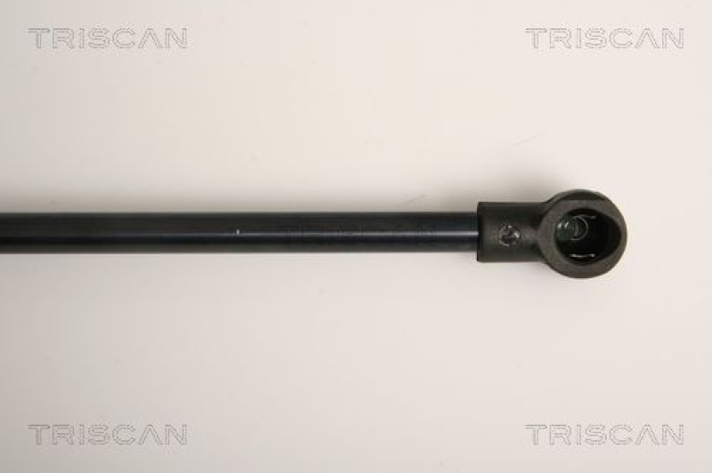 TRISCAN 8710 11231 Gasfeder Hinten für Bmw 3 Serie Coupe (E92)