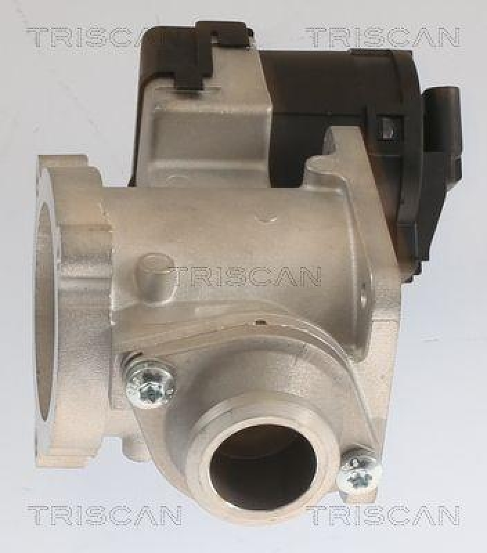 TRISCAN 8813 11020 Agr Ventil für Bmw