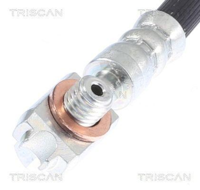 TRISCAN 8150 29136 Bremsschlauch Vorne für Vw Passat (3C_)