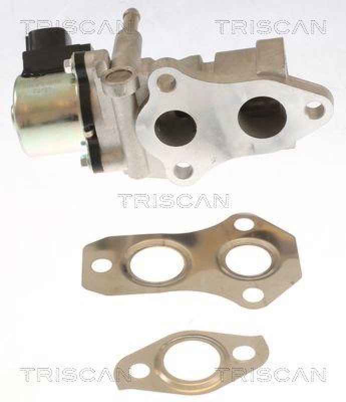 TRISCAN 8813 13015 Agr Ventil für Toyota