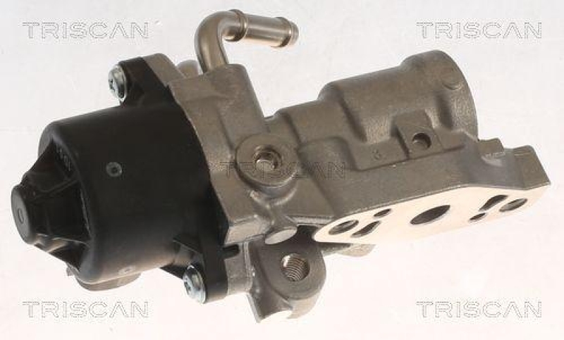 TRISCAN 8813 13070 Agr Ventil für Toyota, Psa