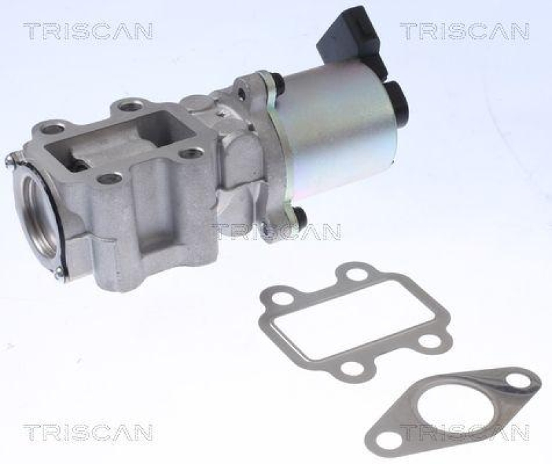 TRISCAN 8813 13100 Agr Ventil für Toyota