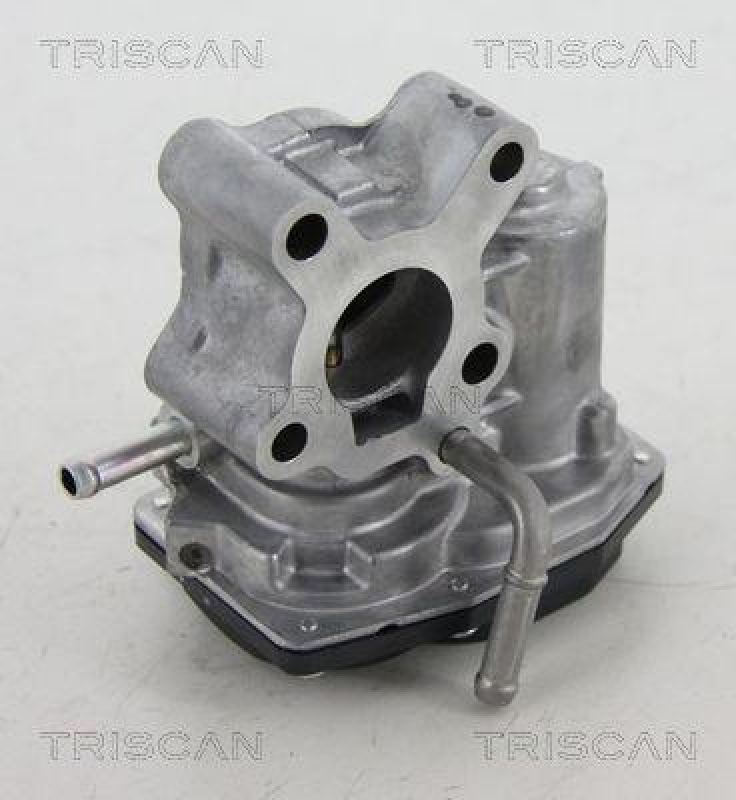 TRISCAN 8813 13200 Agr Ventil für Toyota