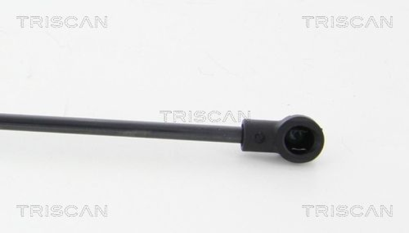 TRISCAN 8710 24246 Gasfeder Hinten für Opel