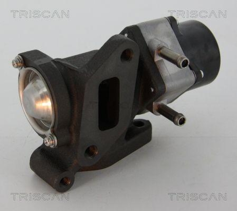 TRISCAN 8813 14005 Agr Ventil für Nissan/Renault/Opel