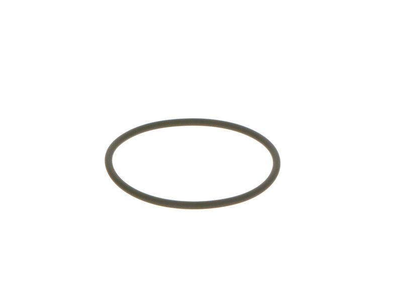 Bosch F 00N 201 306 O-Ring