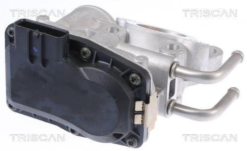 TRISCAN 8813 14010 Agr Ventil für Nissan