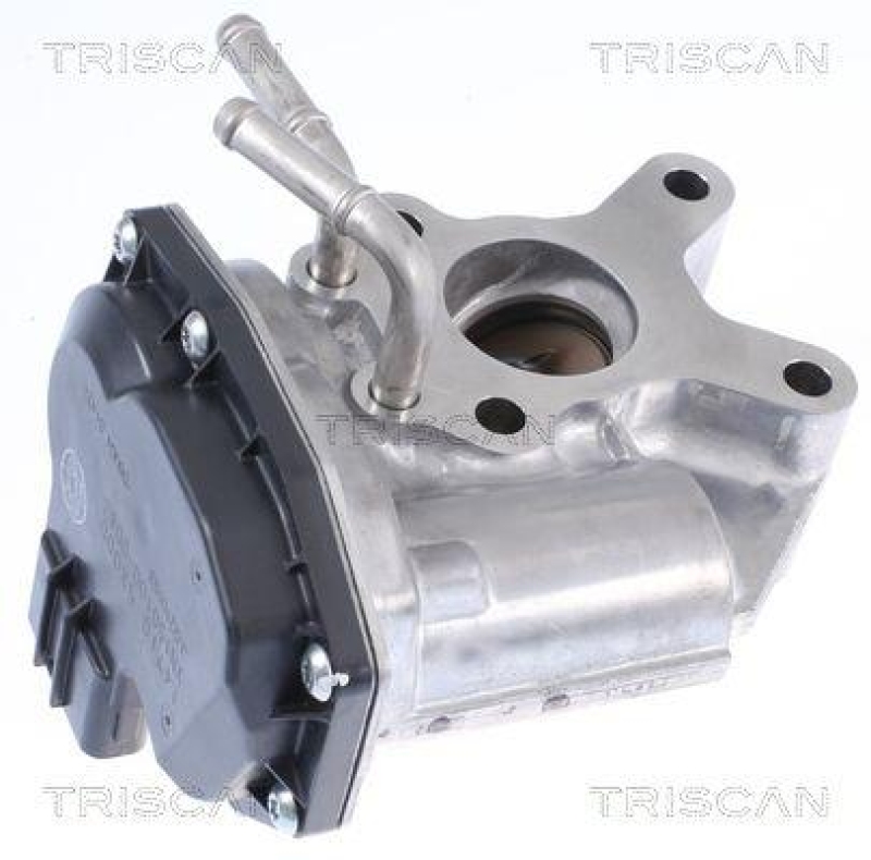 TRISCAN 8813 14015 Agr Ventil für Nissan