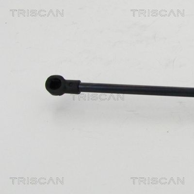 TRISCAN 8710 24256 Gasfeder Hinten für Opel Mokka