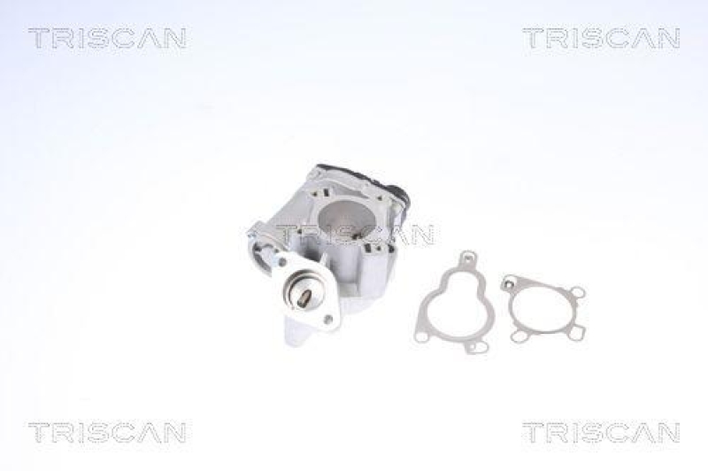 TRISCAN 8813 14025 Agr Ventil für Nissan