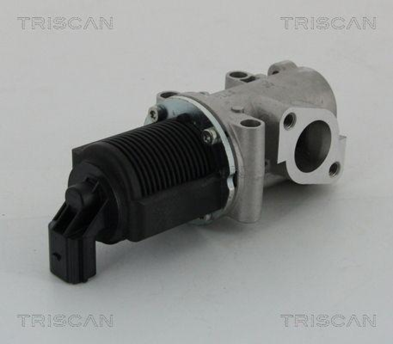 TRISCAN 8813 15032 Agr Ventil für Fiat/Psa