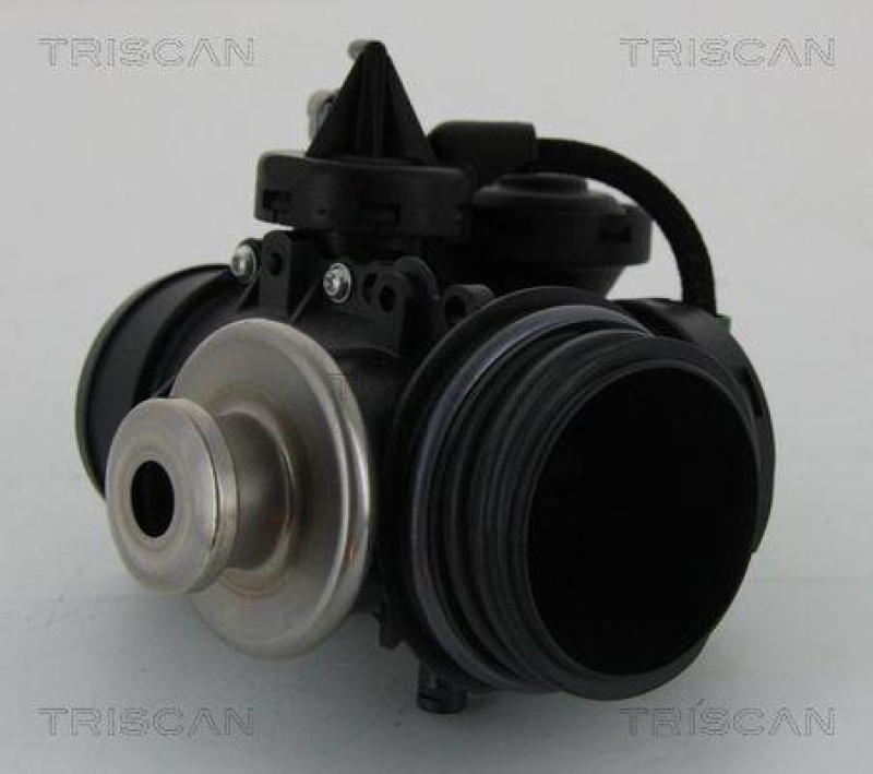 TRISCAN 8813 15056 Agr Ventil für Fiat/Psa