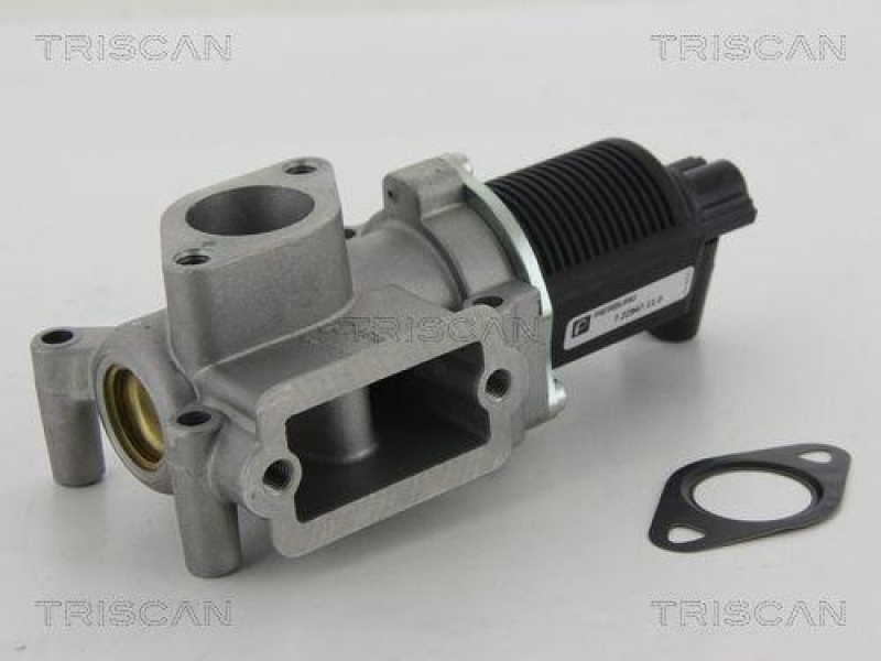 TRISCAN 8813 15063 Agr Ventil für Fiat/Psa